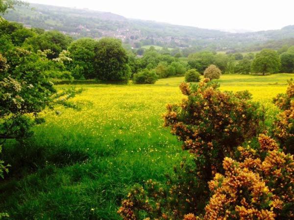 The Sidings Villa Matlock  Dış mekan fotoğraf